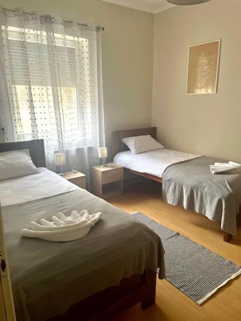 Bed and Breakfast Alice Vendeghaz Kalocsa Exterior foto
